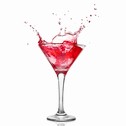 Cocktail Bartender Agency